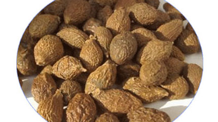 Malva nut and its amazing effects
