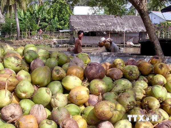 Dried coconut price in the province of Ben Tre rise again