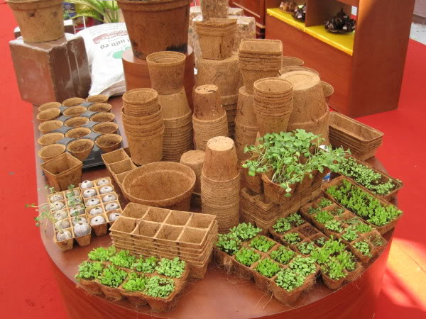 Use the 8 great part of the coconut tree 