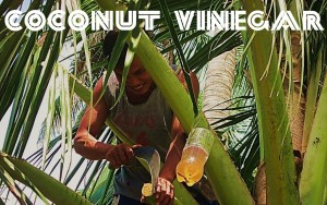 Top Benefits of Coconut Vinegar and Its Contains