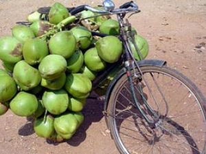 Is Coconut Water Really Better Than Sports Drinks?
