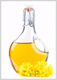 Why is coconut oil a healthier alternative to choose?
