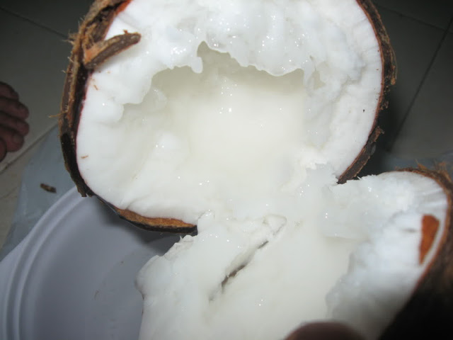 Coconut wax Tra Vinh –  Exclusive Brand