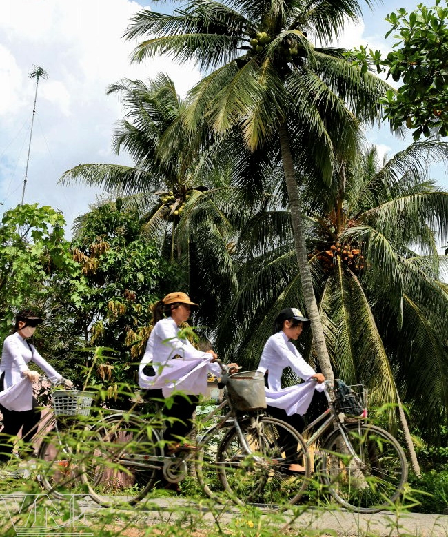 Ben Tre The “Capital” of Coconuts