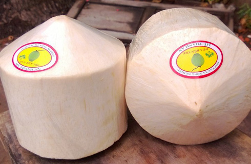 Exports Xiem coconut