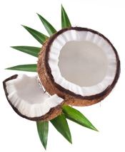 Coconut milk or cream