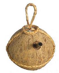 Ben Tre coconut wine with poison strange series of Lunar New Year