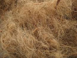 Coconut fiber and coco peat
