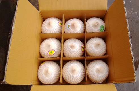 Passionate exports coconut 