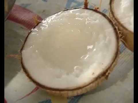 Coconut wax