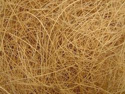 Trade coir fiber