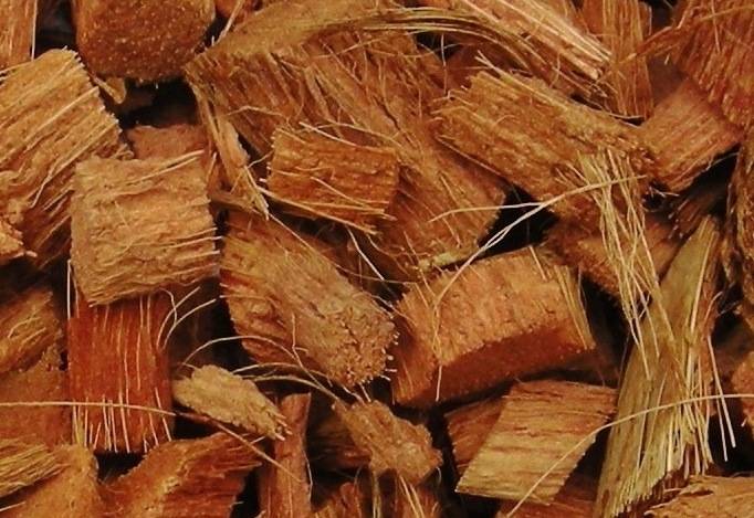 Applications and Uses of Coconut Husk in Modern World