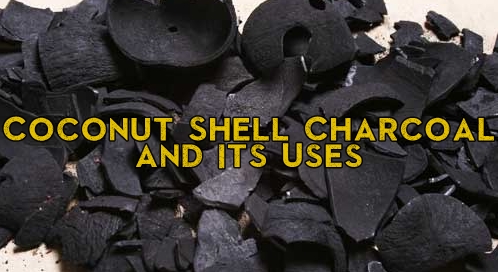 Coconut Shell Charcoal and Its Uses