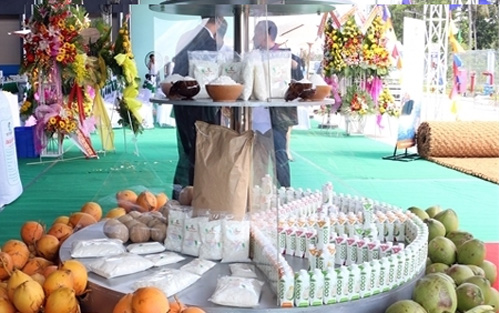 Ben Tre coconut water to be exported to Europe, America