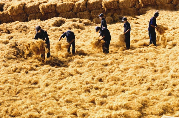 Villages coconut fiber: Attract rural workers