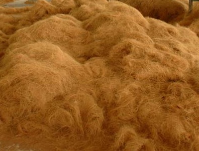 Coconut fiber - Lessons competition