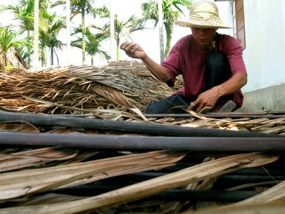Dried coconut sheath Opportunities to export to Japan