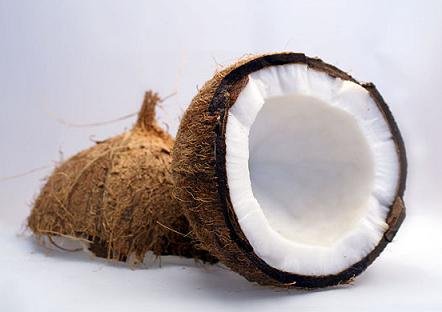 India Coconut oil, copra prices remain firm