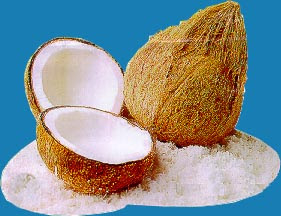 Coconut Milk for your hair