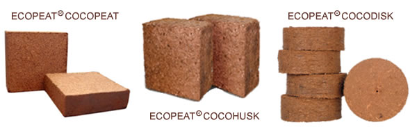 WHAT IS COCOPEAT