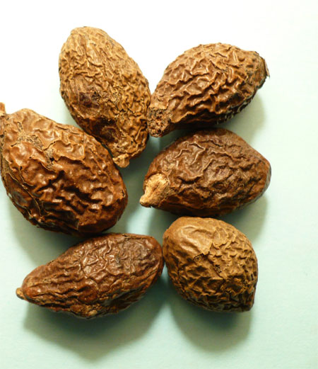 Folk remedy for Malva nut