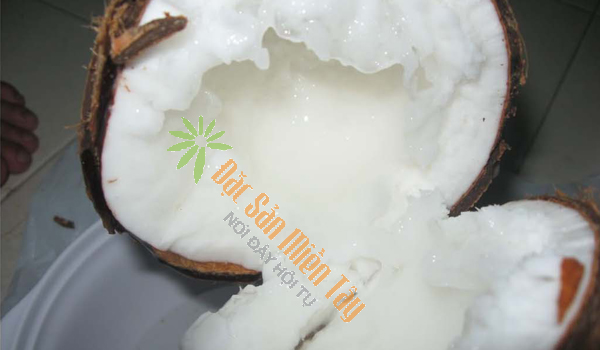 Coconut wax (coconut Makapuno)
