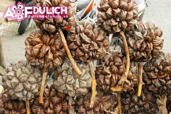 Can Gio Coconut water: delicious cool the tourists