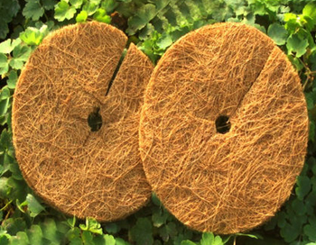 Coco peat disc 