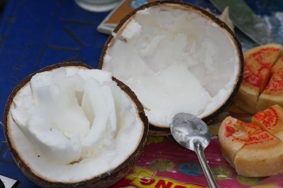 Coconut fruit