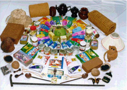 Coconut Products and Their Uses