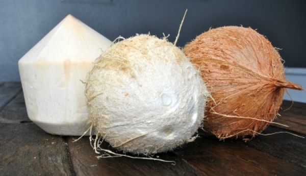 Coconut + The Best Orange Julius Recipe!